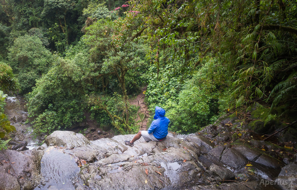 view from waterfall boquete cloud forest