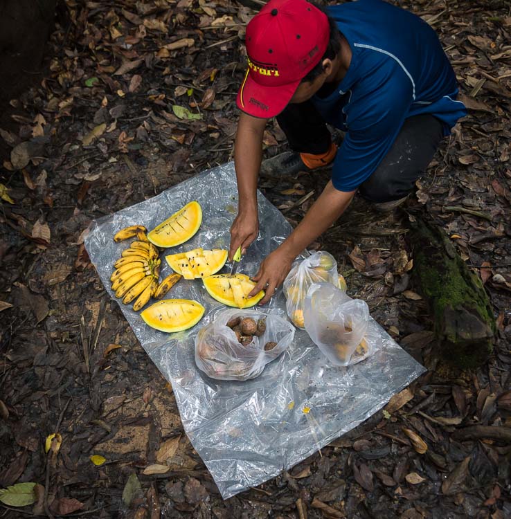 jungle guide from bukit lawang cutting fruits
