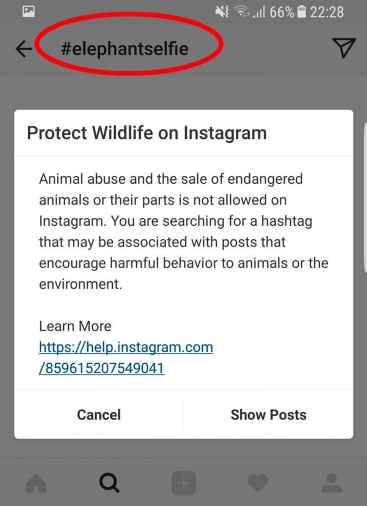 Instagram animal selfie