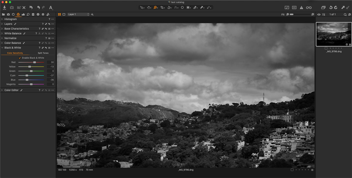 capture one black and white tool screenshot