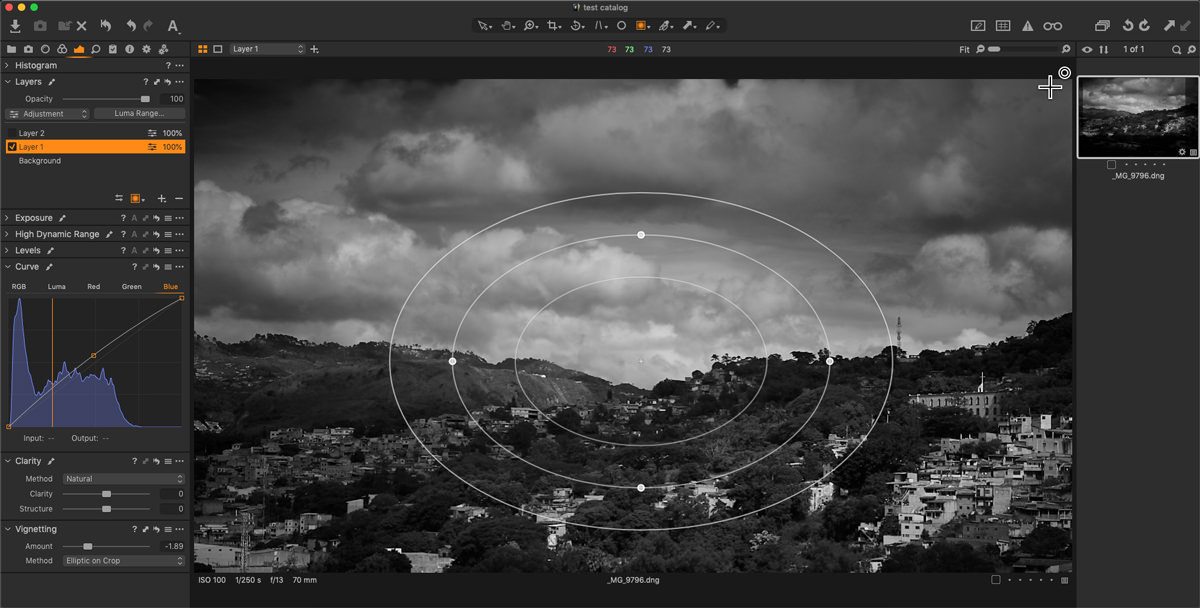 capture one blue curve and radial mask