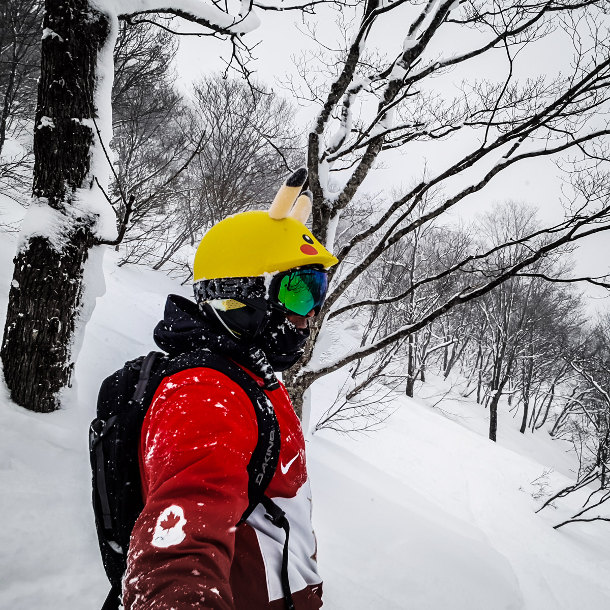 snowboarding cortina japan powder glades