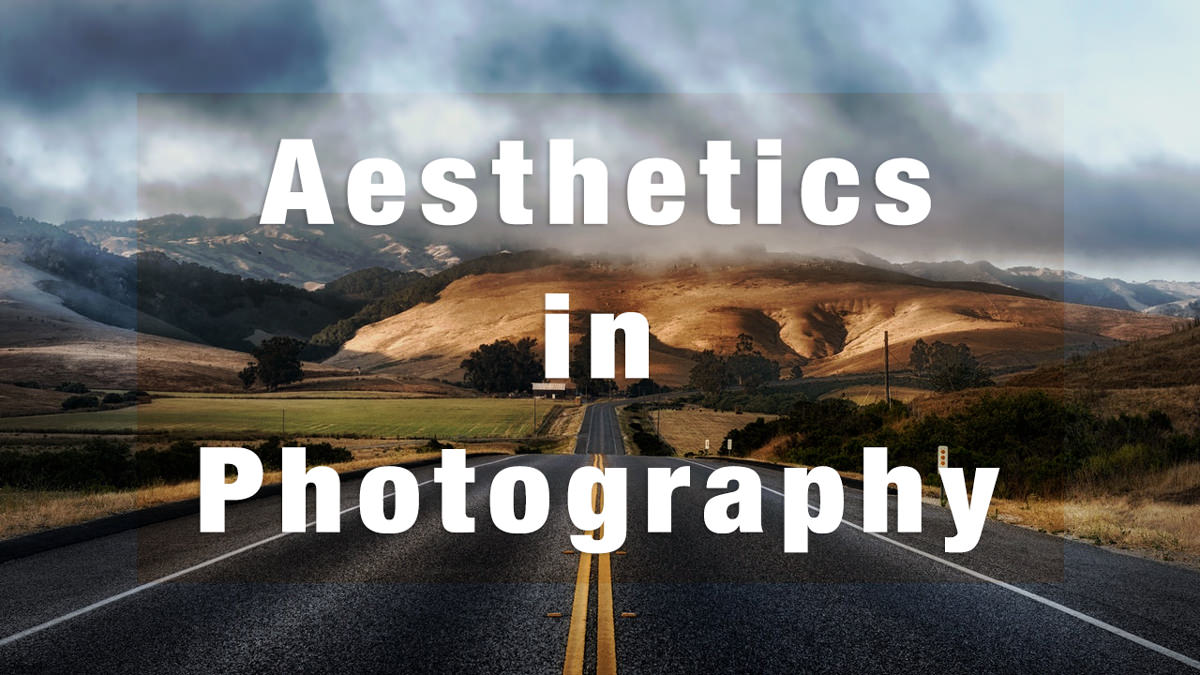 What is Aesthetics in Photography? Everything You Need to Understand