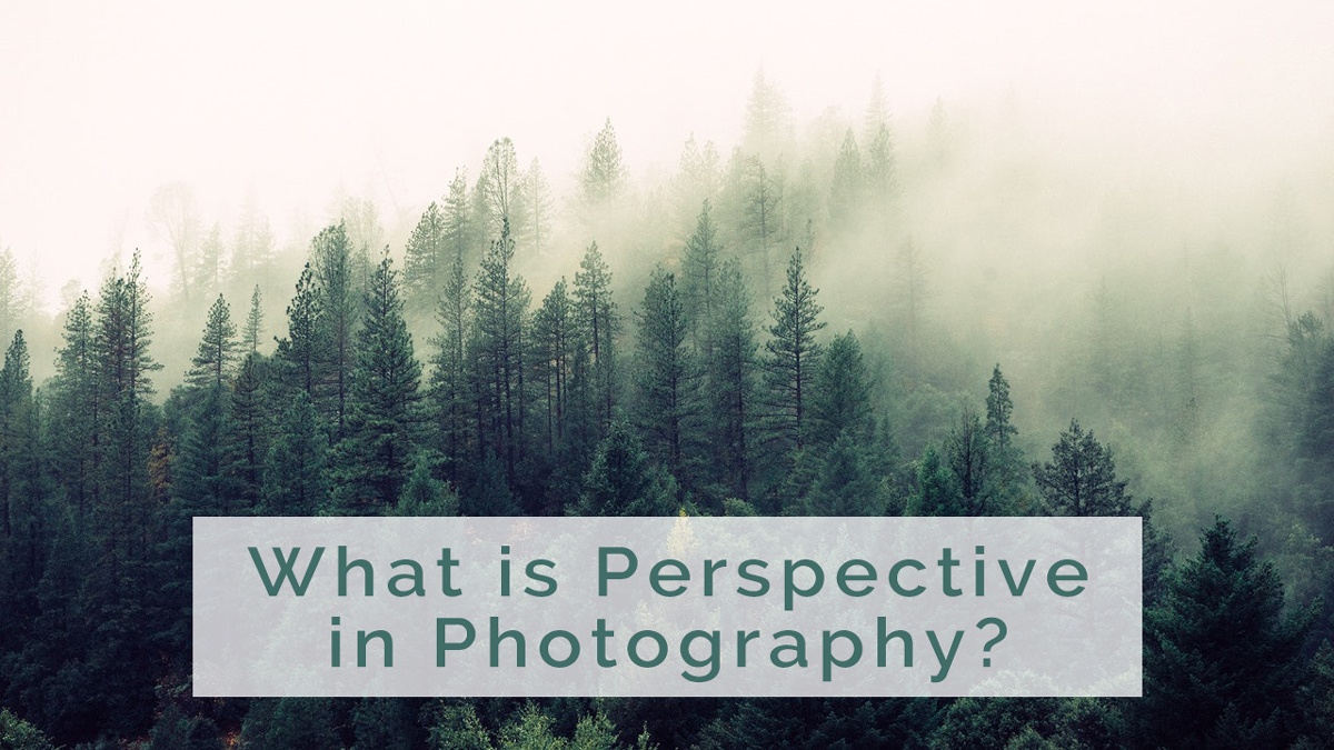 What is Perspective in Photography? Tips on How to Use Perspective