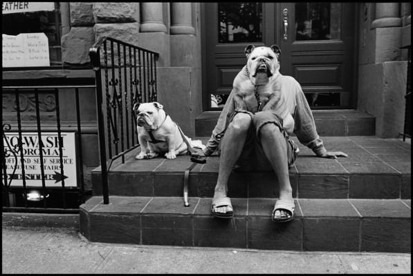 a man and two dogs by photographer Elliott Erwitt
