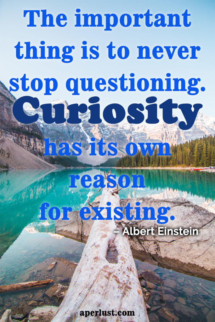"The important thing is to never stop questioning. Curiosity has its own reason for existing" – Albert Einstein