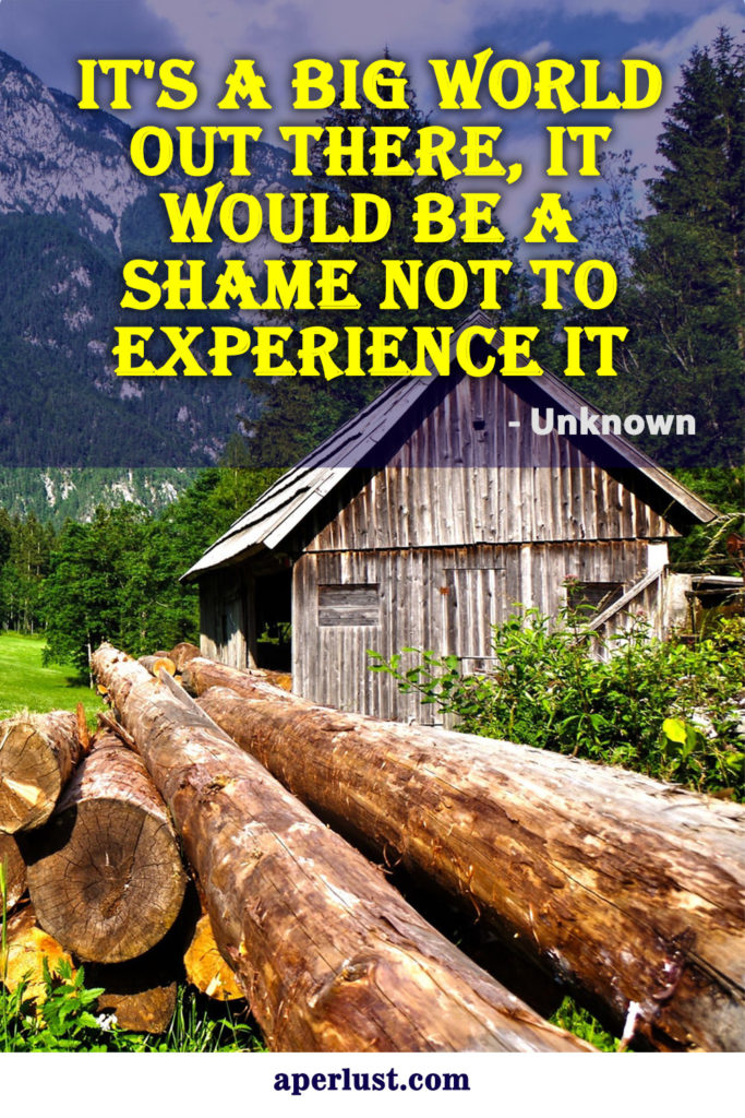 "It's a big world out there, it would be a shame not to experience it." - Unknown