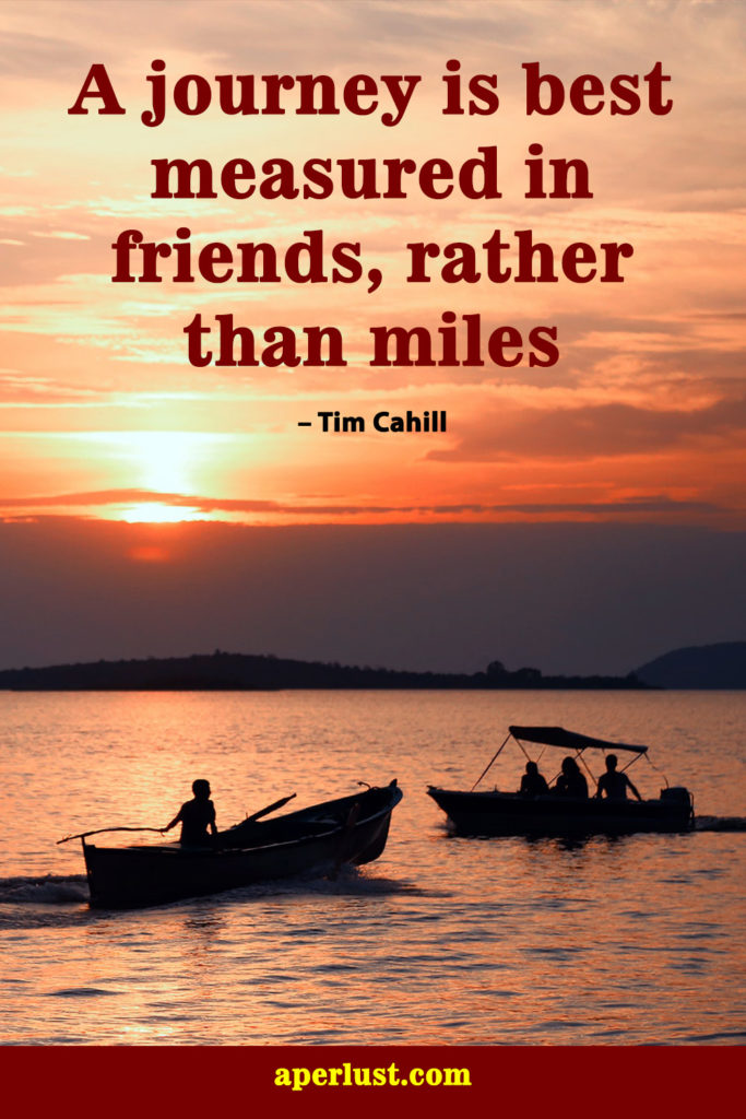 "A journey is best measured in friends, rather than miles." – Tim Cahill