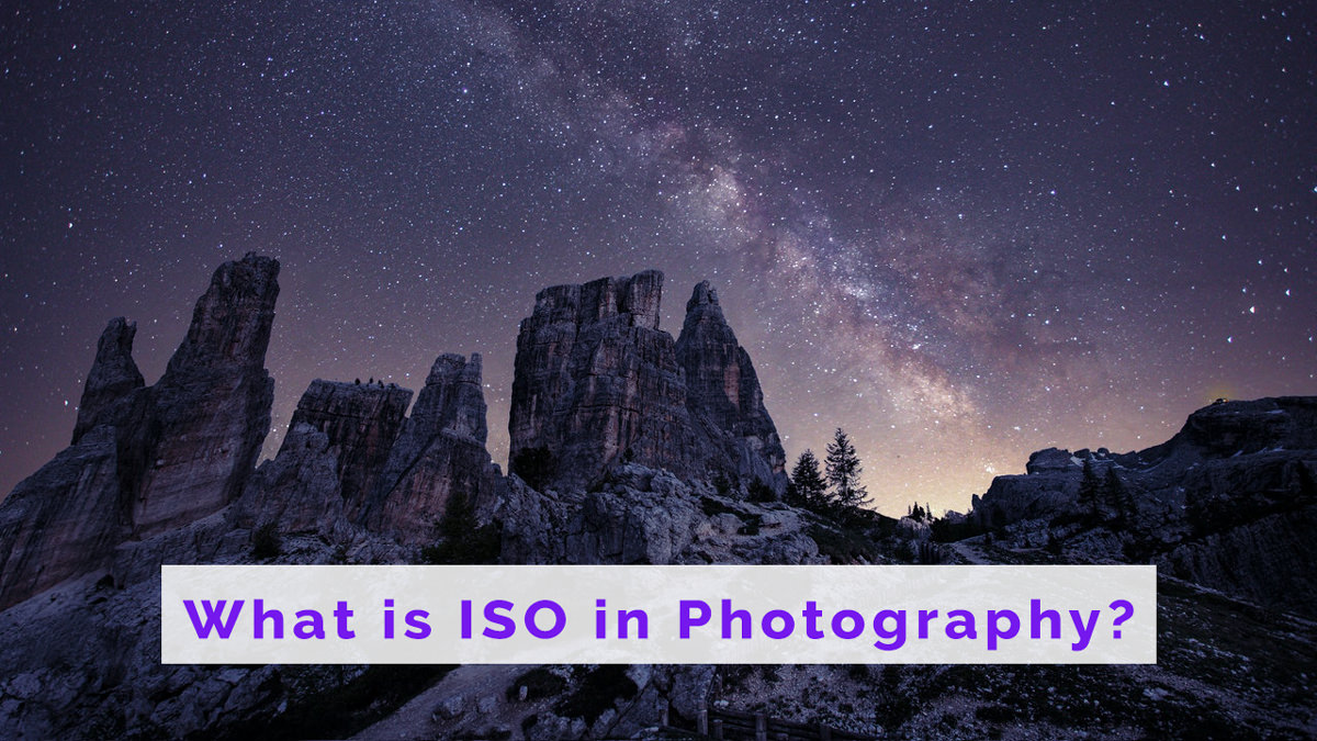 What is ISO in Photography? Exposure, Noise, & Detail