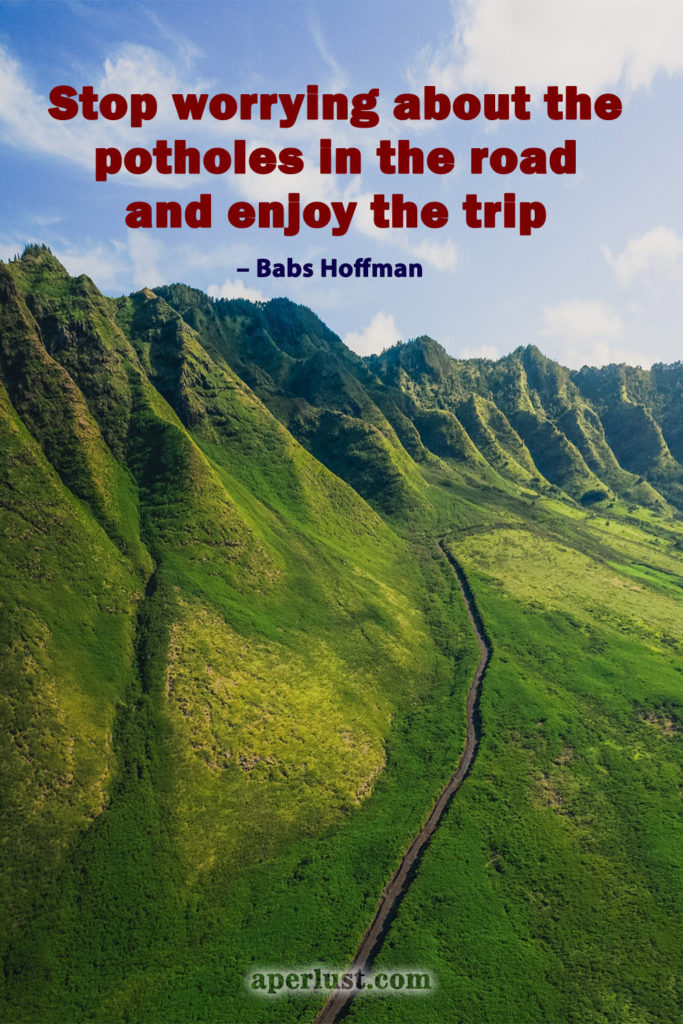 "Stop worrying about the potholes in the road and enjoy the trip." – Babs Hoffman