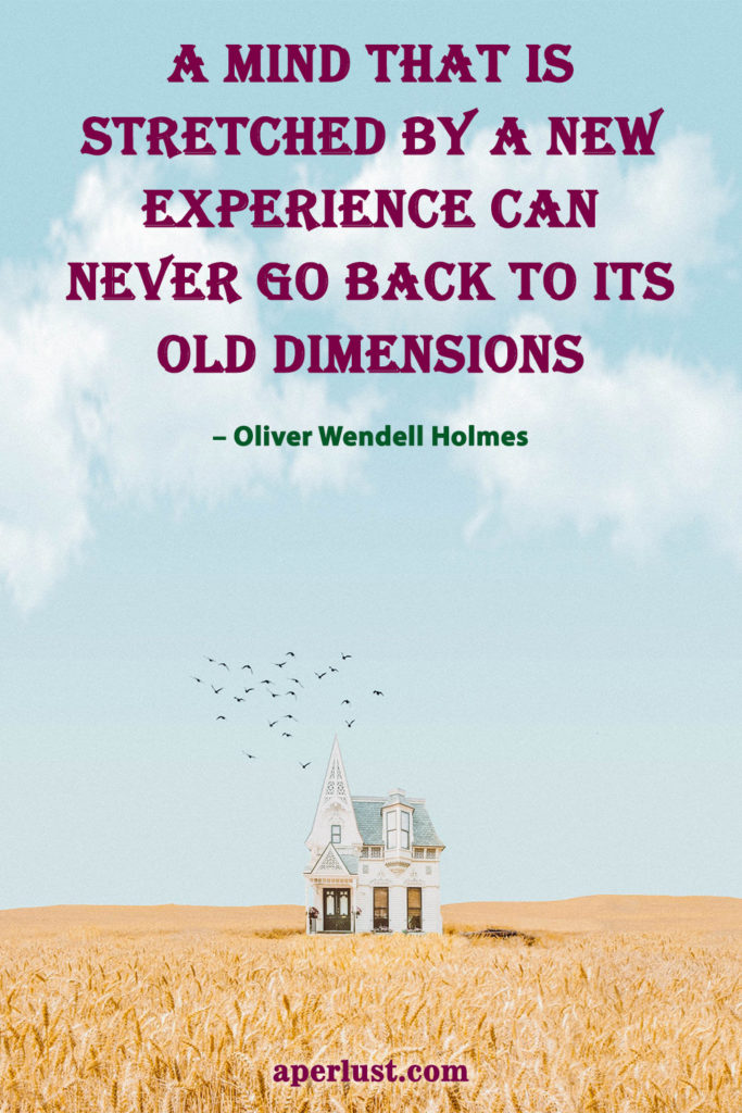 "A mind that is stretched by a new experience can never go back to its old dimensions." – Oliver Wendell Holmes