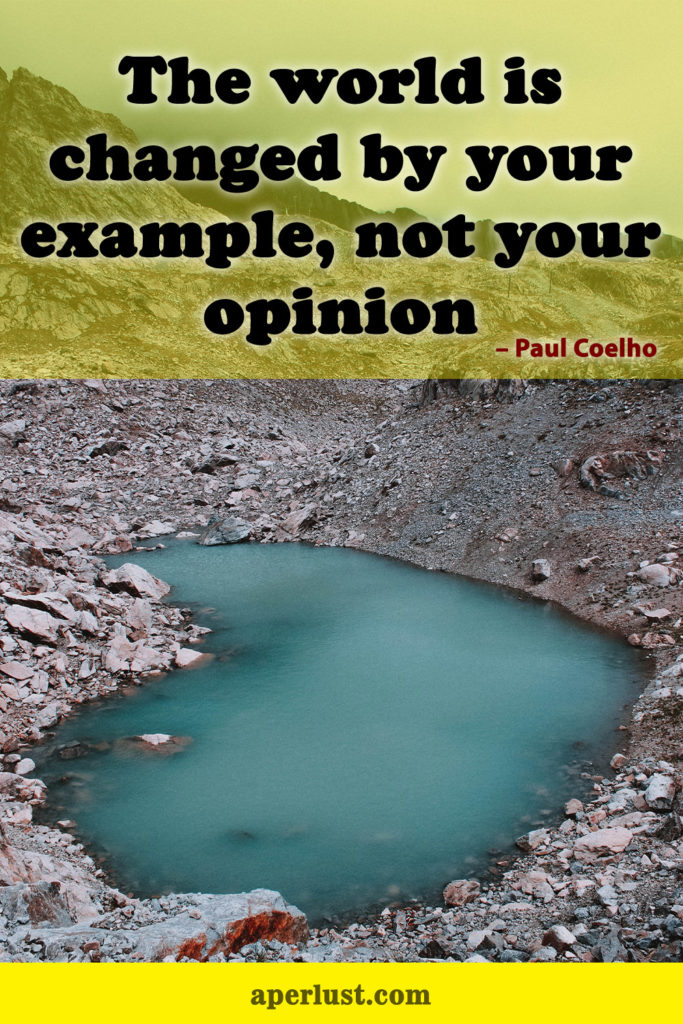 "The world is changed by your example, not your opinion." – Paul Coelho