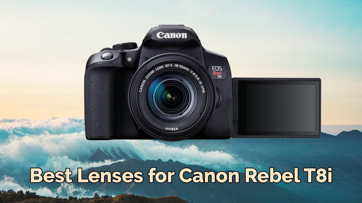 16 Best Lenses for Canon Rebel T8i and T8 2023 – Tamron, Sigma