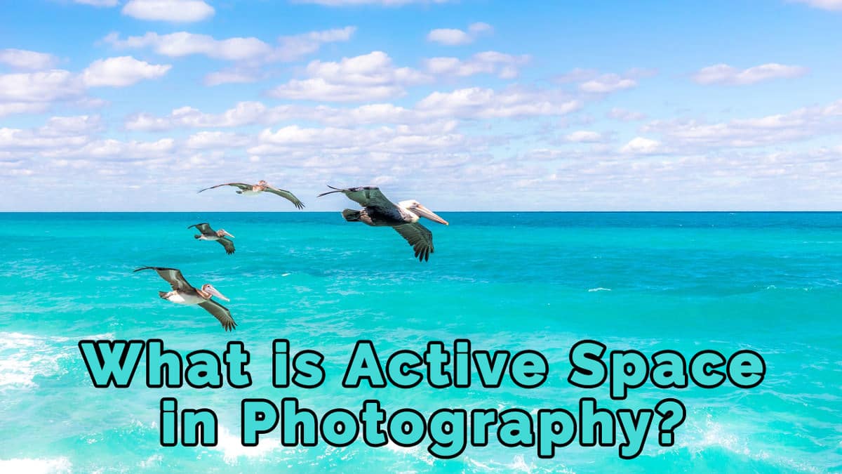 What is Dead Space and Active Space in Photography?