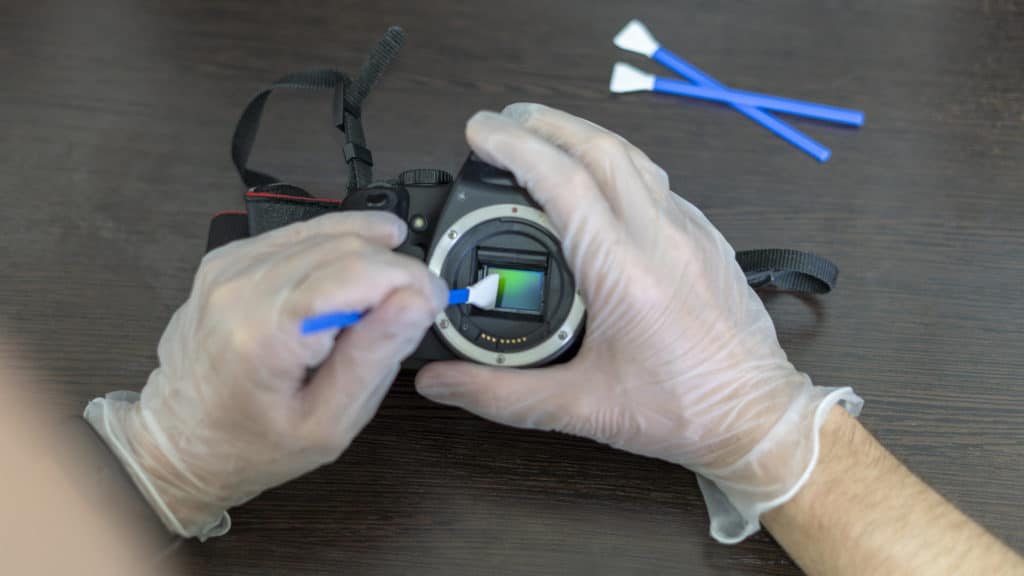 Canon DSLR camera image sensor being cleaned with swab.
