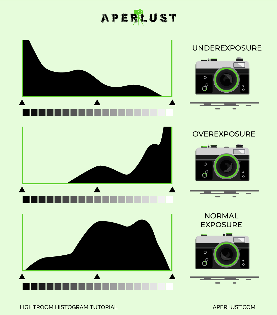 Gráficos de histograma de Lightroom con cámaras - ¿Qué aspecto debe tener un histograma?