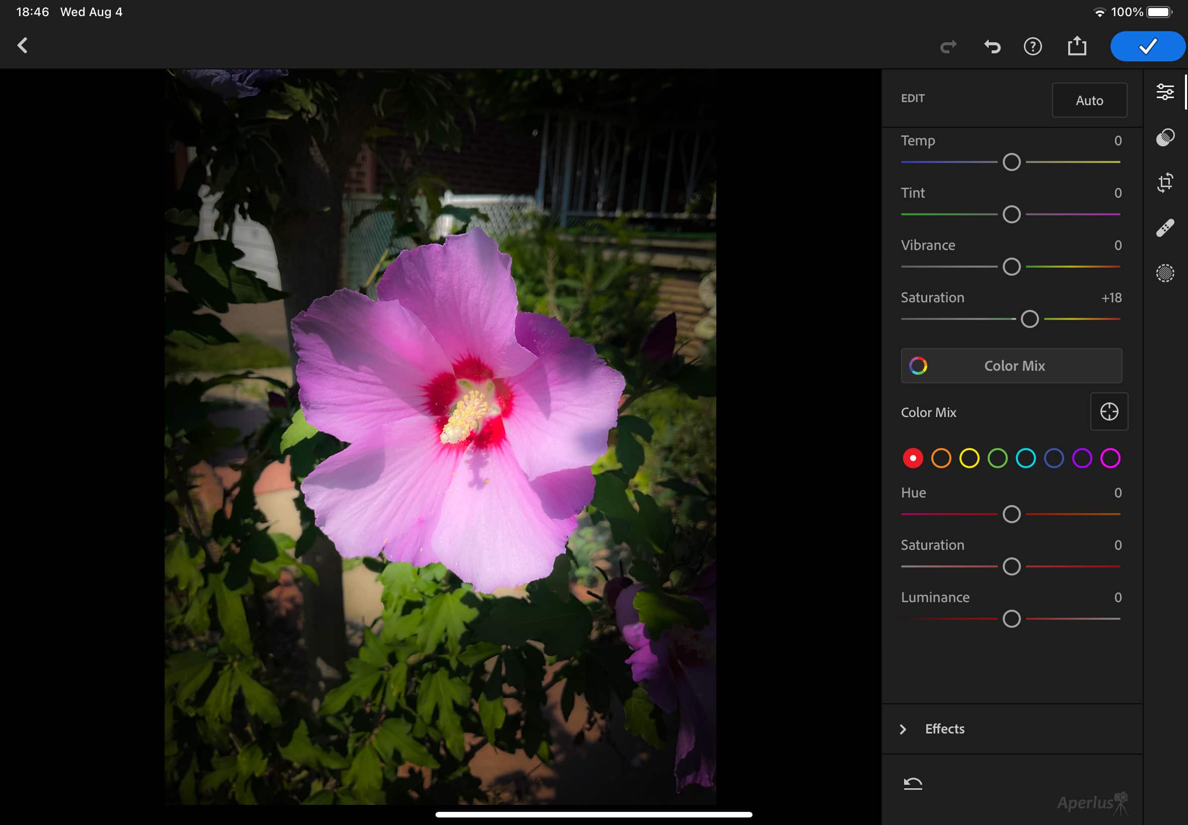 tablet camera example with iPad Air 4 and Lightroom CC