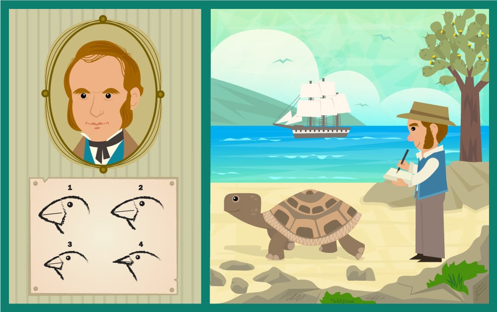 Charles Darwin in the Galapagos and Theory of Evolution illustration