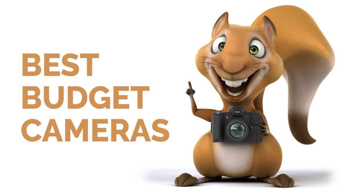 7 Best Budget Cameras – Photography, DSLR, Mirrorless, Video