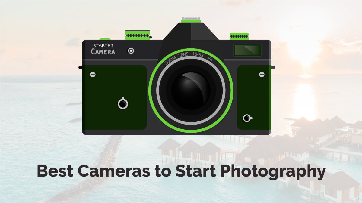 Las 10 mejores cámaras para iniciarse en la fotografía – Aficionados, Negocios