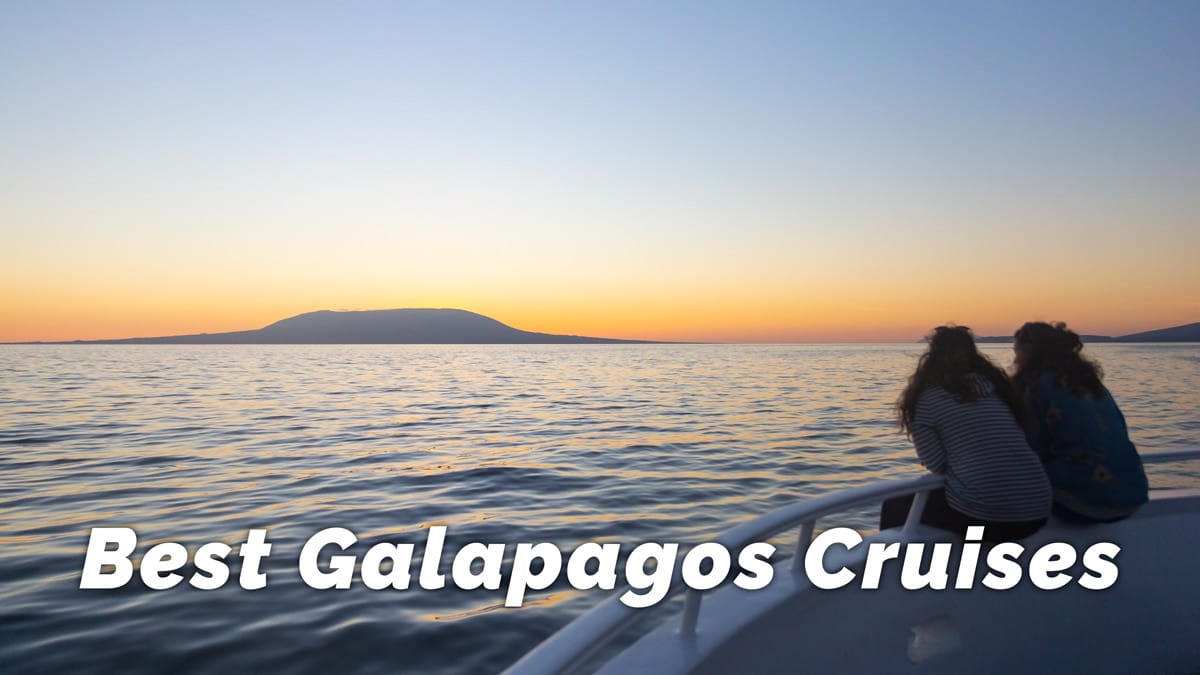 7 Best Galapagos Cruises & Tours | Luxury & Small Ships