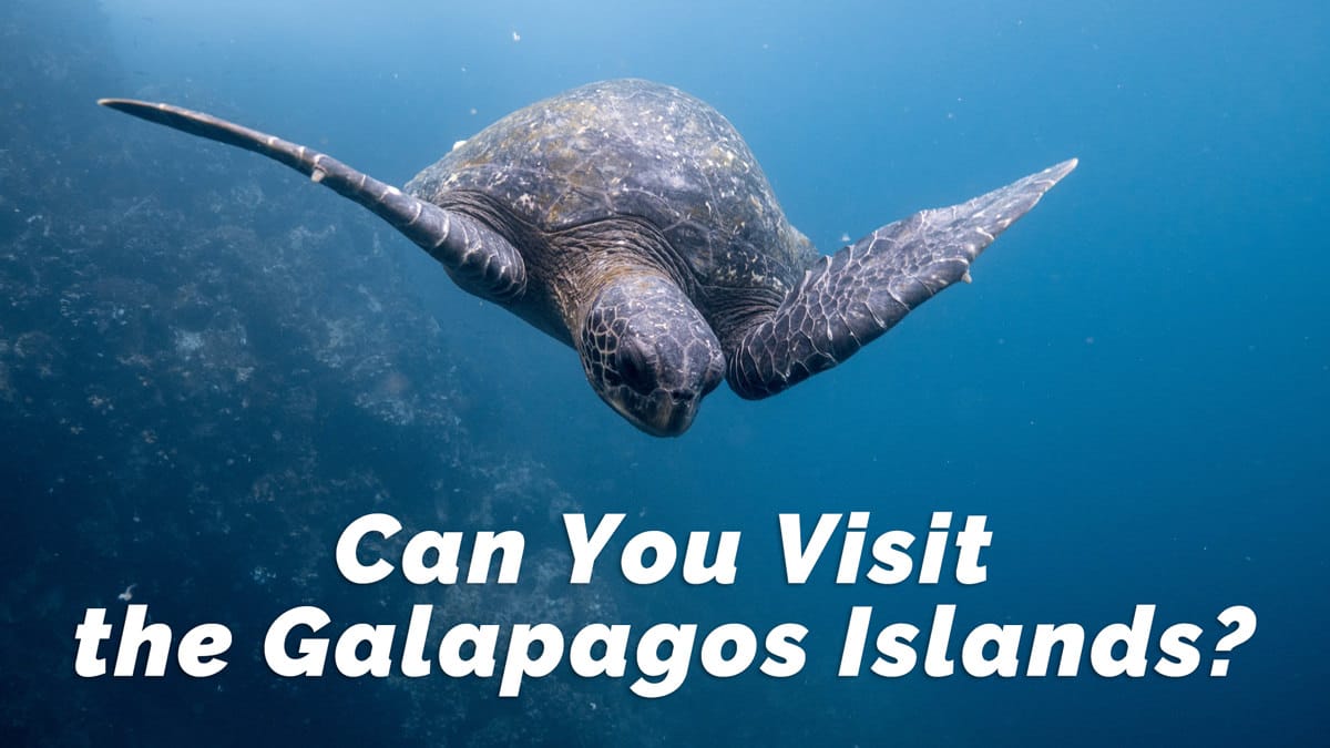 Can You Visit the Galapagos Islands?