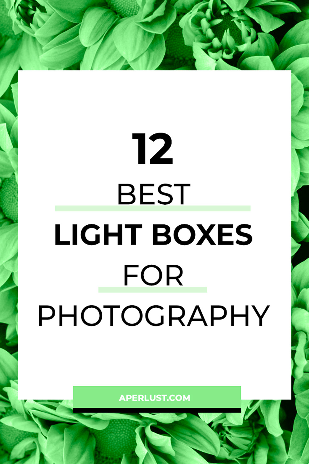 12 mejores focos de luz para fotografía