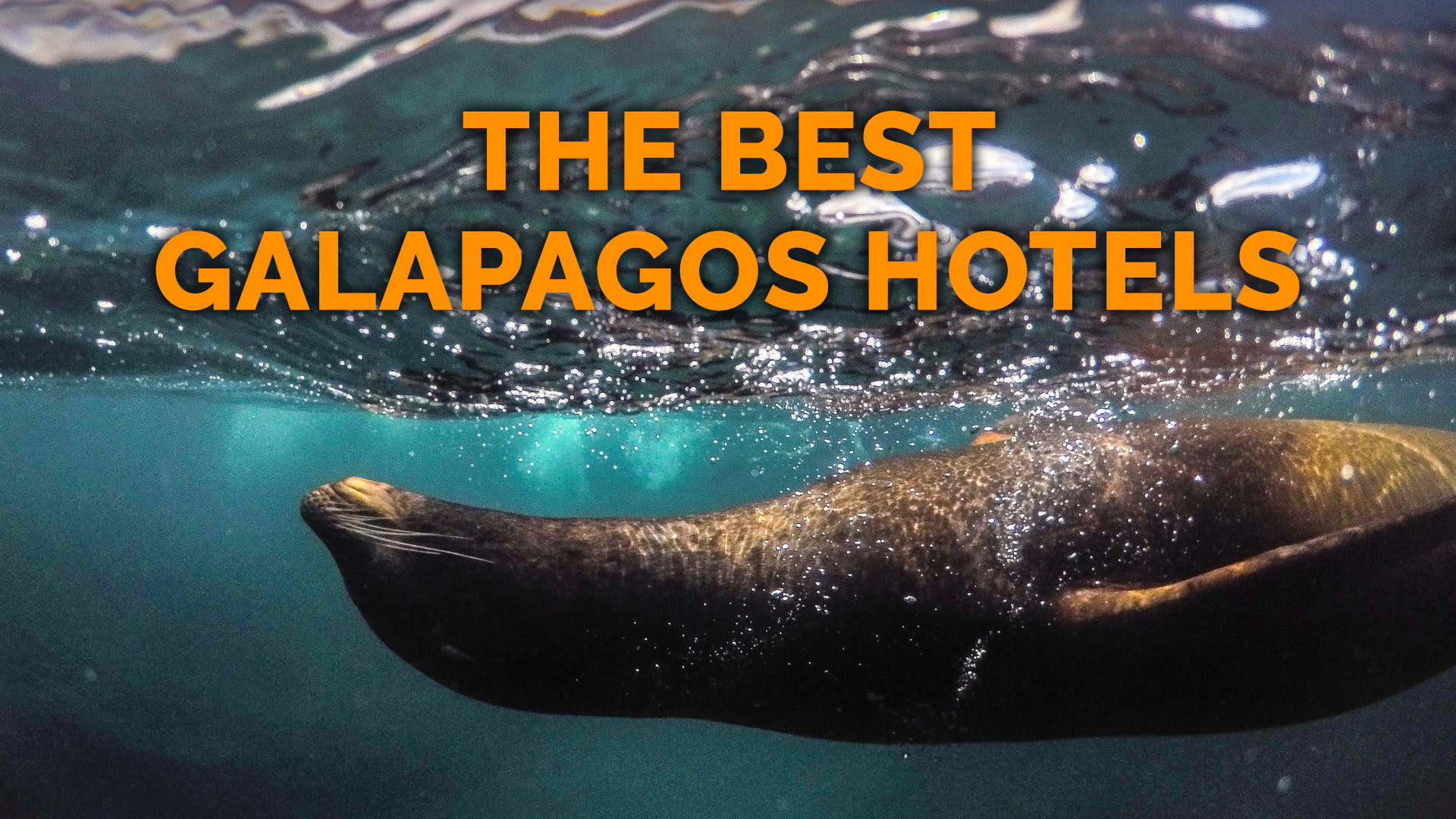 19 Best Galapagos Hotels – San Cristobal, Santa Cruz, Isabela