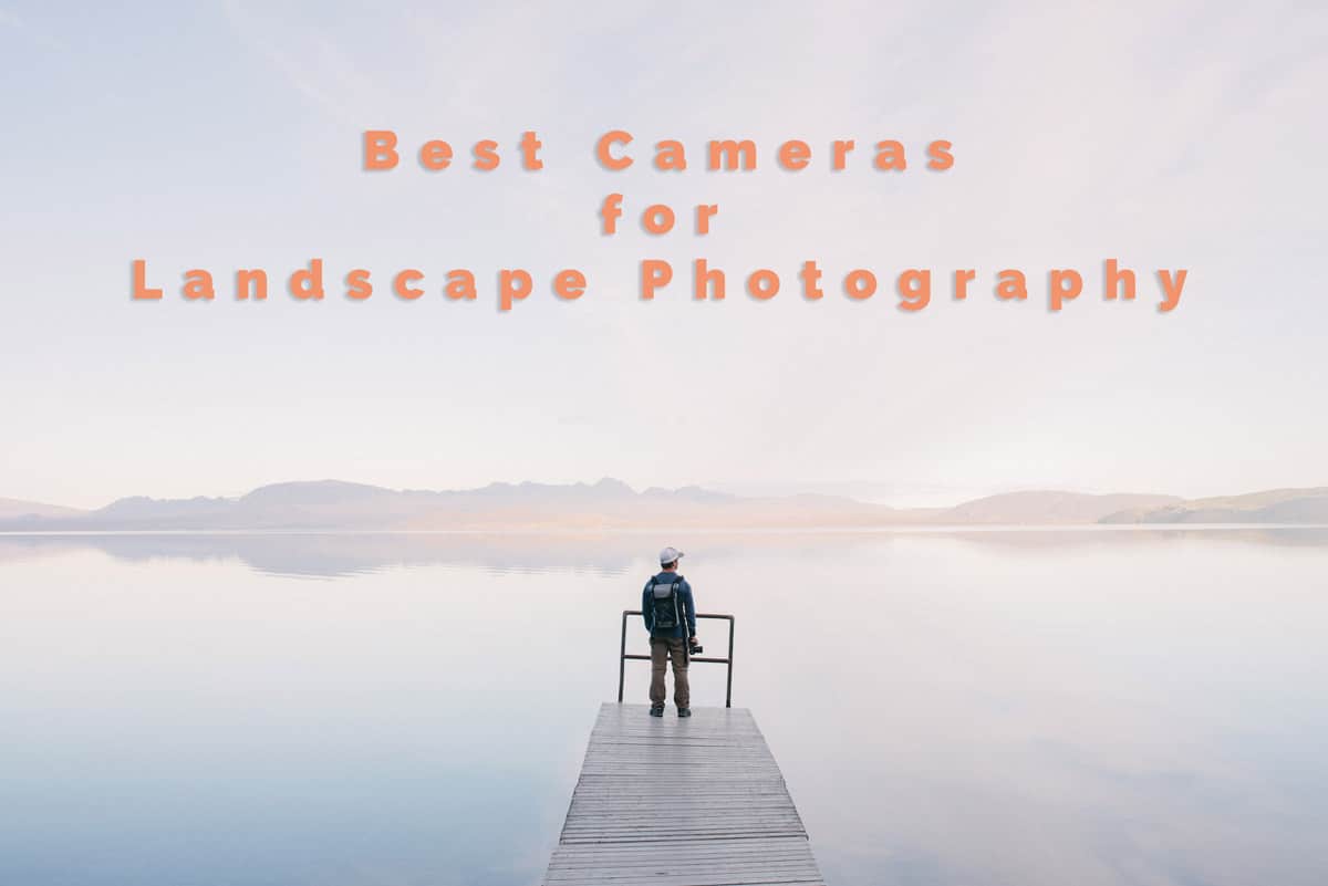 19 Best Landscape Photography Cameras