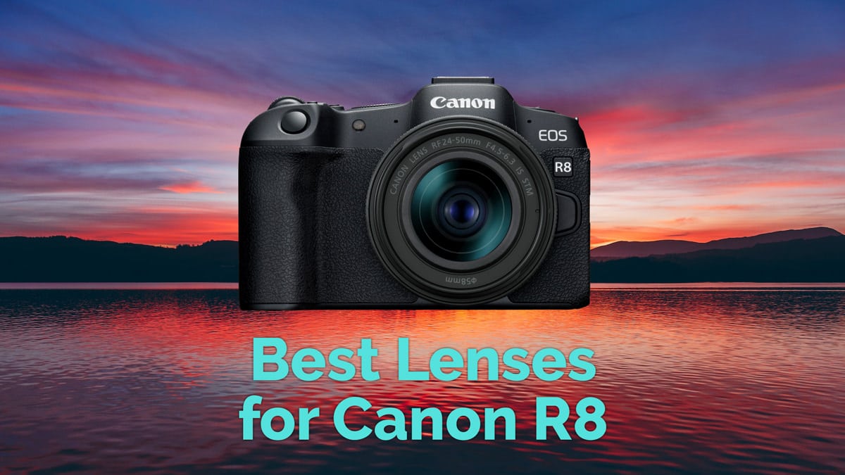 Best Lenses for Canon R8 | Landscape, Portrait, Prime, Travel