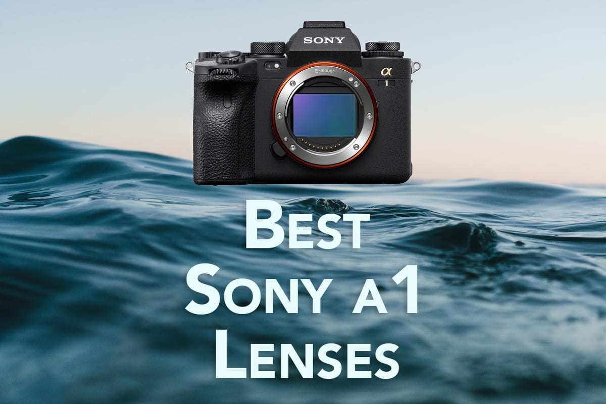 6 Best Lenses for Sony a1 [Updated July 2023]